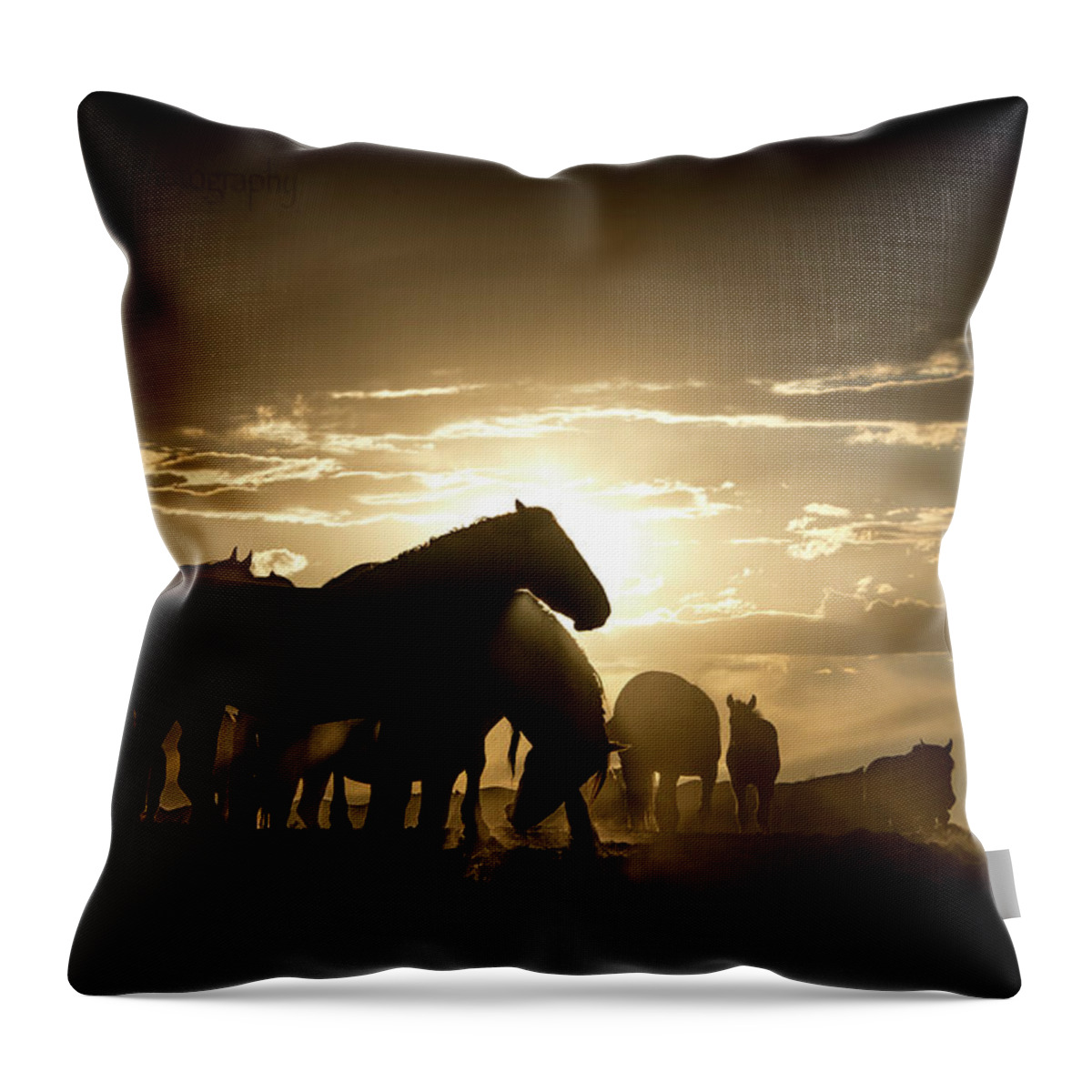 Wild Horses Throw Pillow featuring the photograph Bronze Sky Dust by Dirk Johnson