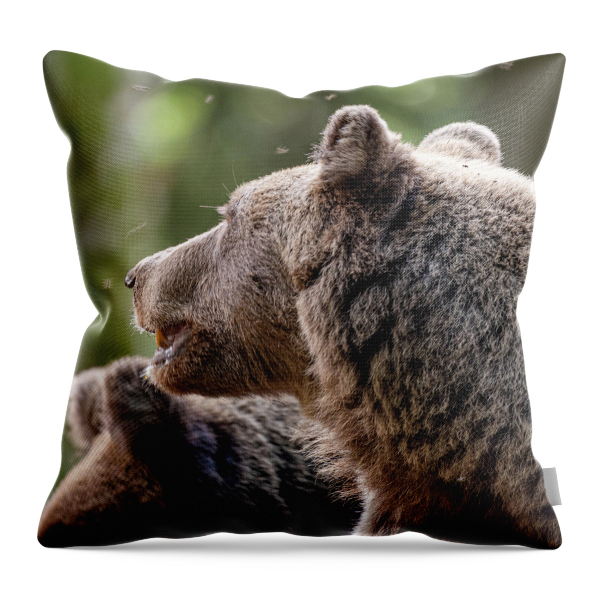 Brown Bear Throw Pillow featuring the photograph Brown Bear Portrait 2 by Adrian O Brien
