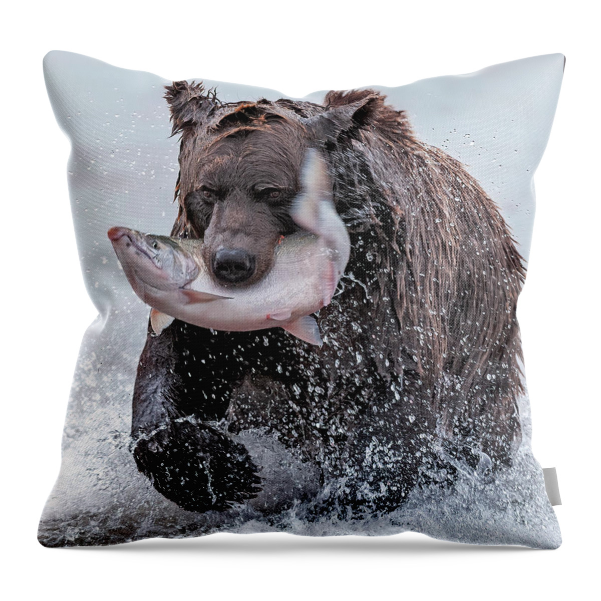 Wild Throw Pillow featuring the photograph Brown Bear with Salmon catch by Gary Langley