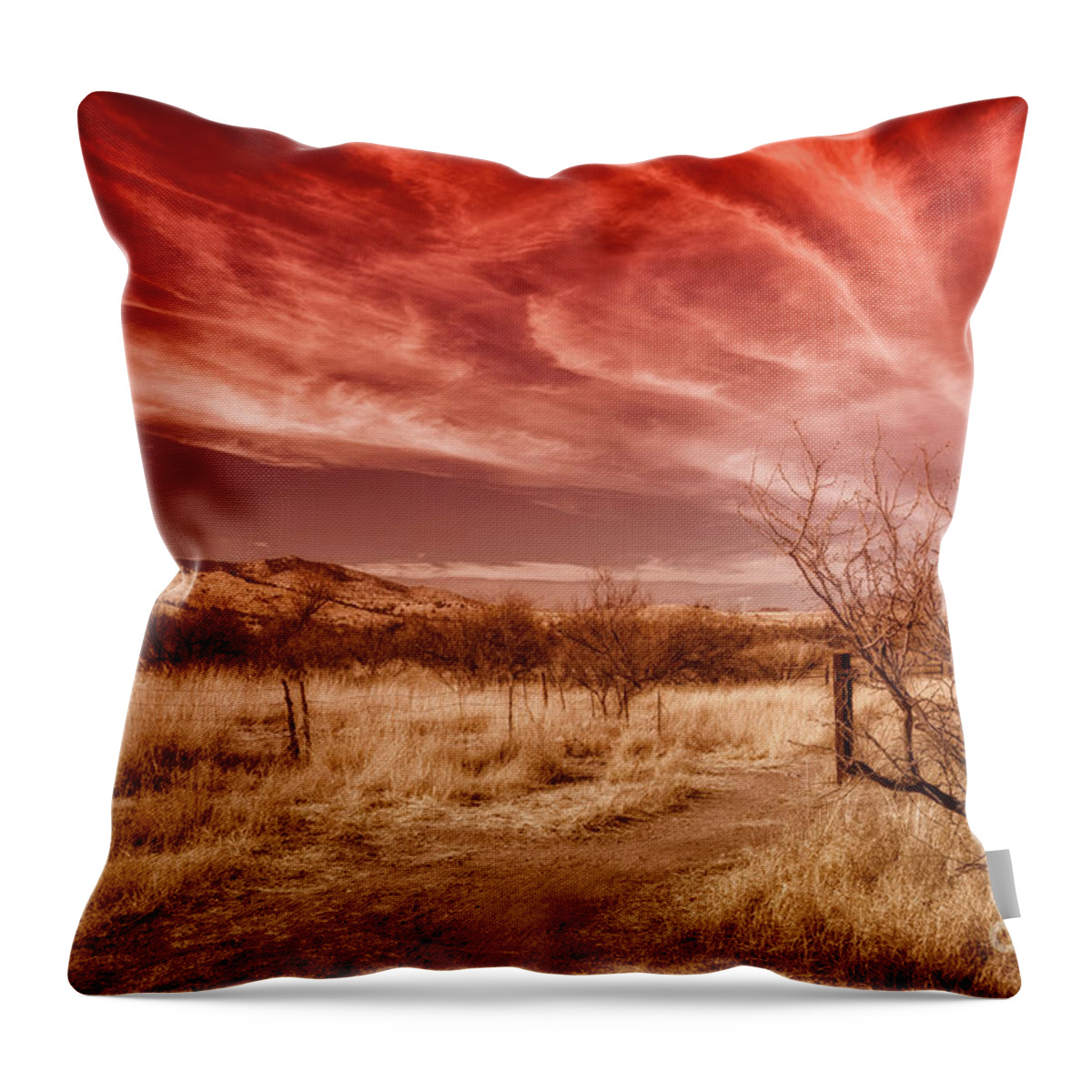 Al Andersen Throw Pillow featuring the photograph Brown Canyon Grasslands Toned by Al Andersen