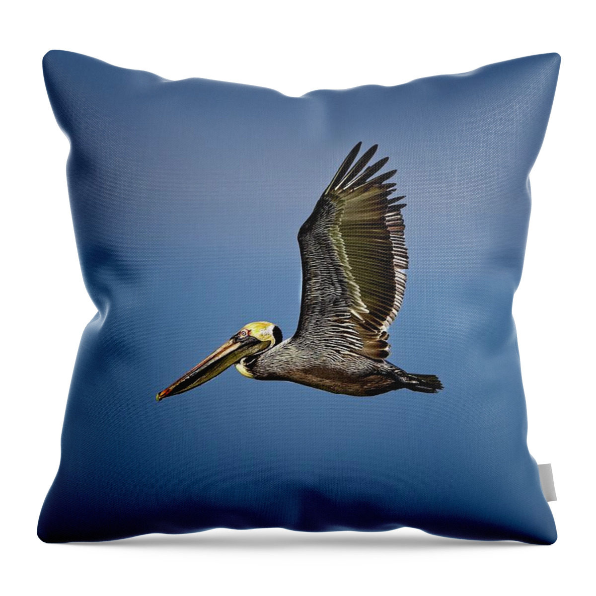 Brown Pelican Throw Pillow featuring the photograph Brown Pelican looking for Fish by Ronald Lutz