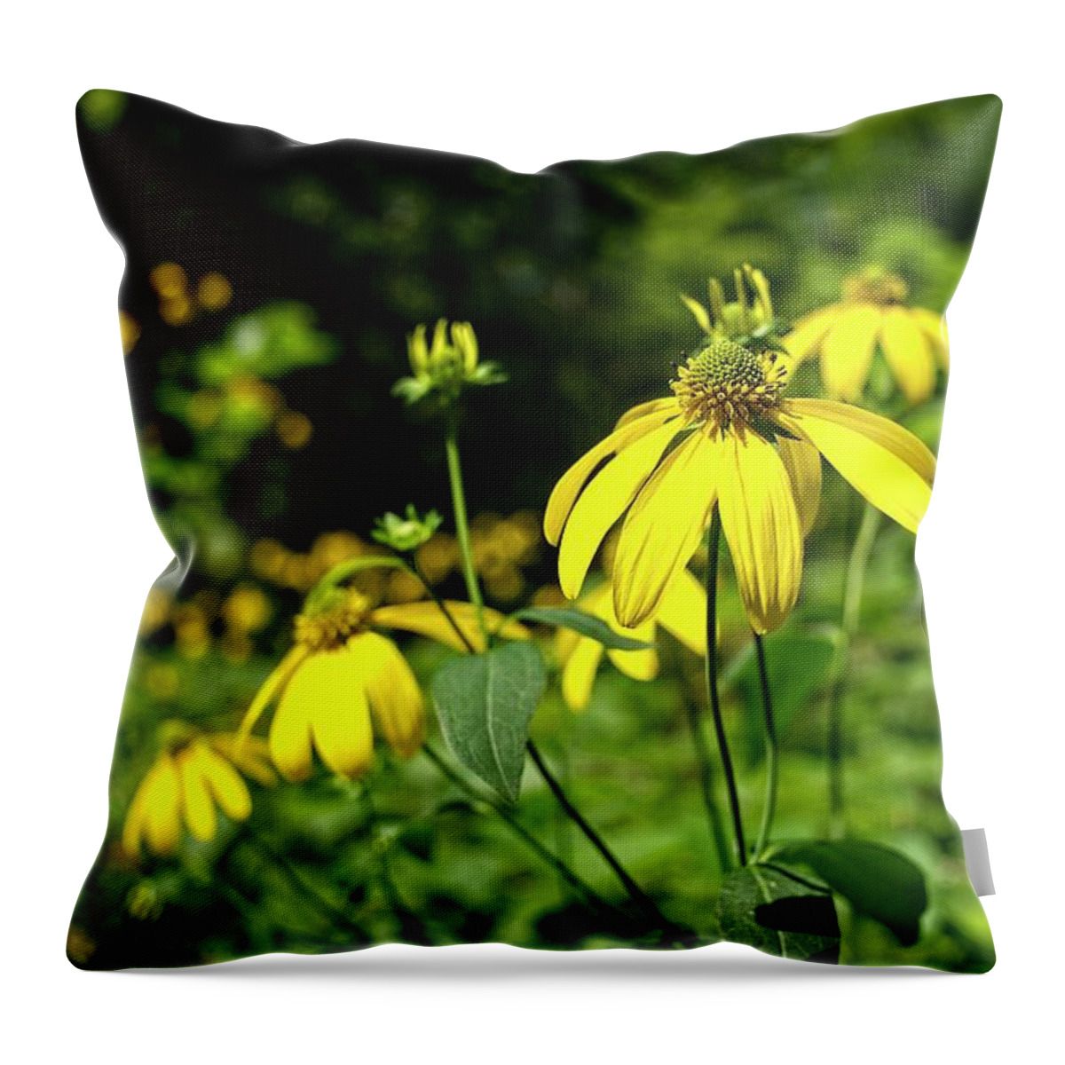 Parfreys Glen Throw Pillow featuring the photograph Browneyed Susan 2 by Steven Ralser