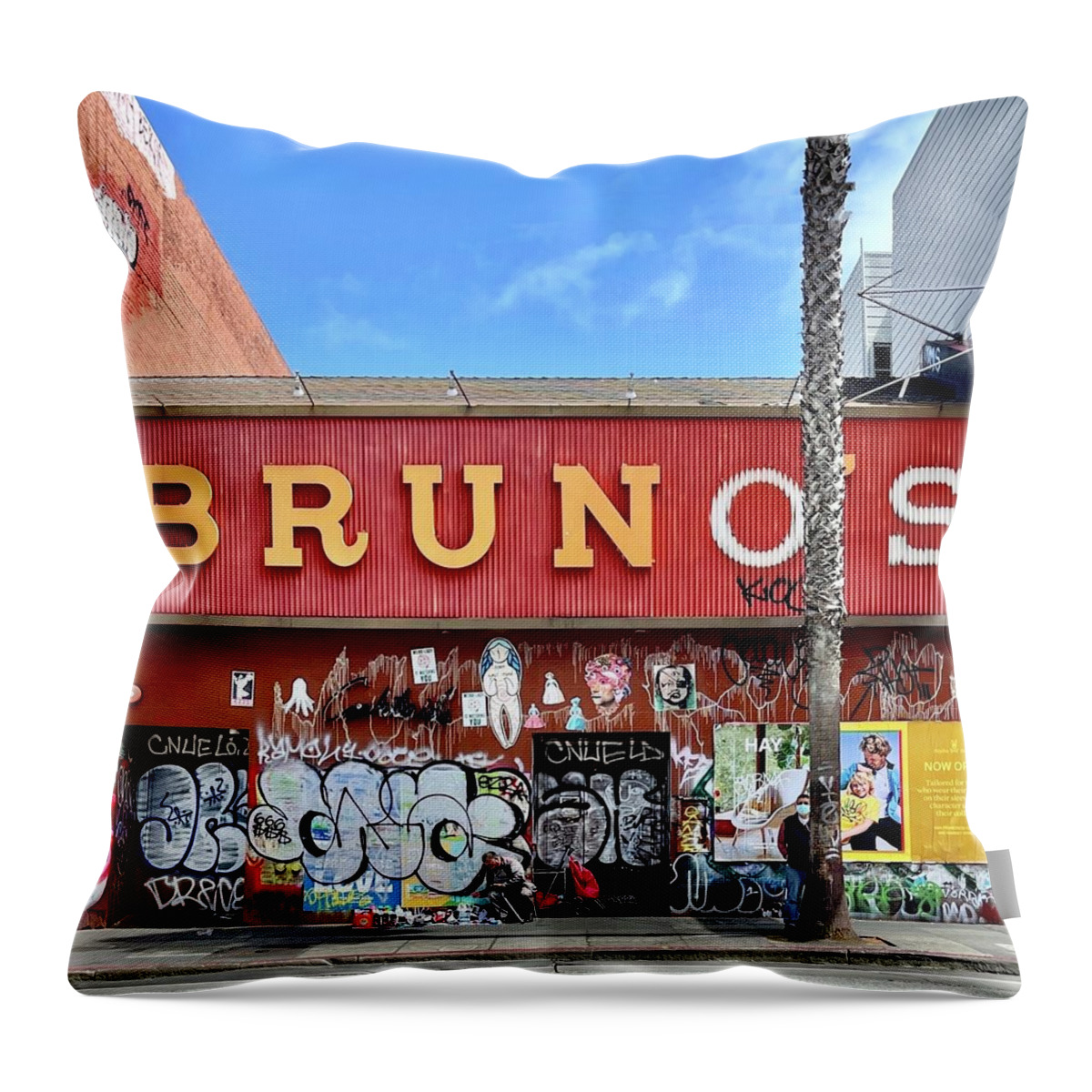  Throw Pillow featuring the photograph Bruno's by Julie Gebhardt