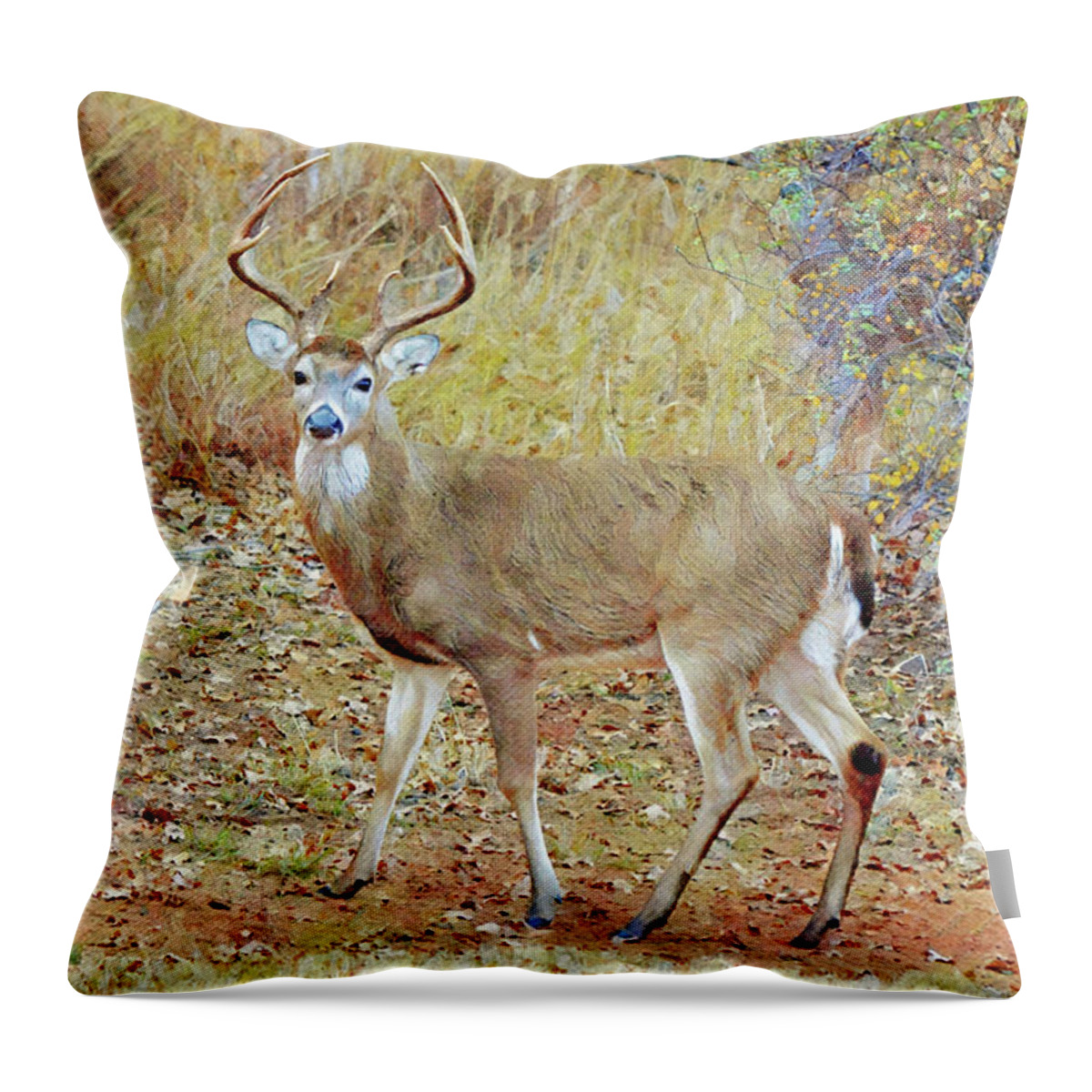 Deer Throw Pillow featuring the digital art Buck Deer Eight Point Antlers in Texas by Gaby Ethington