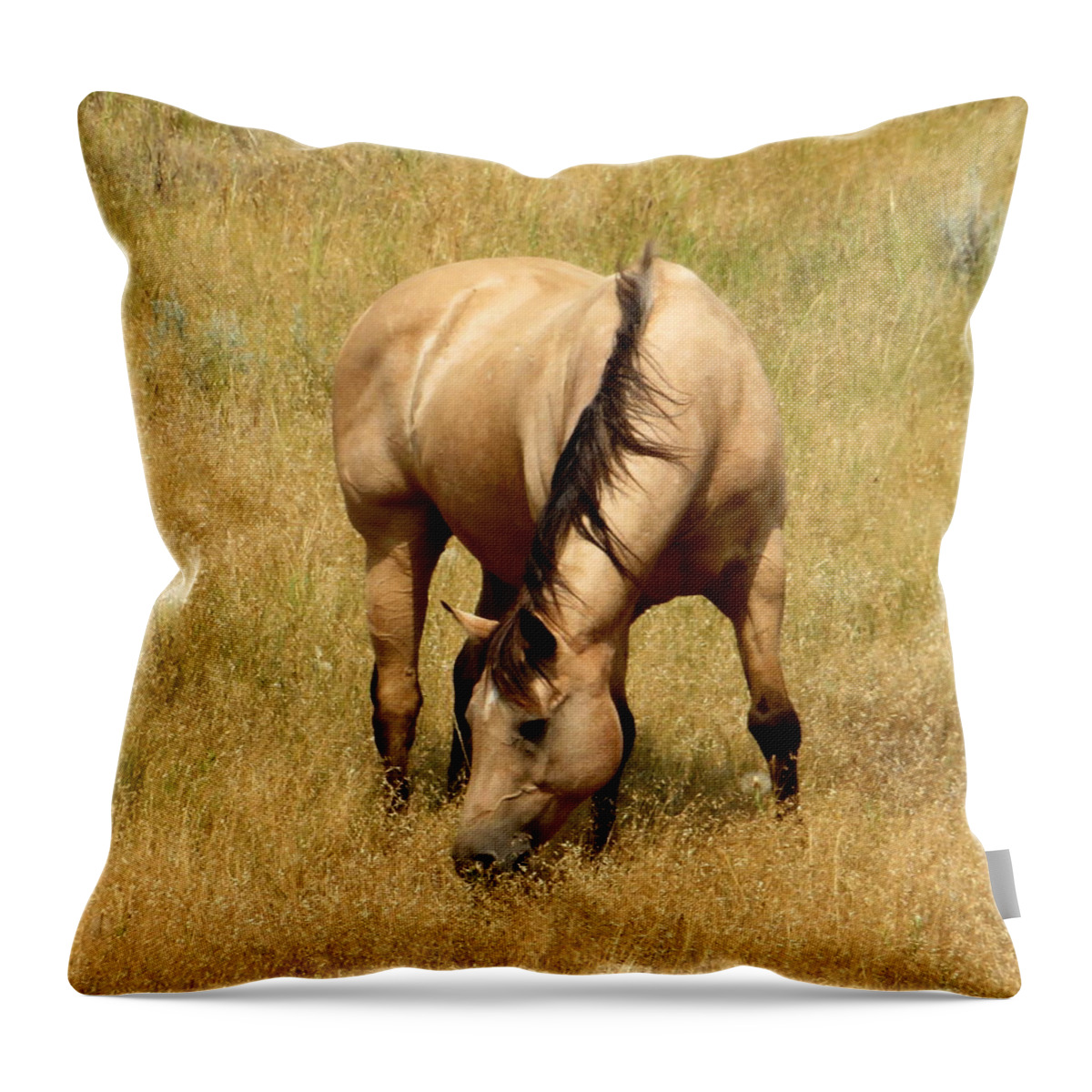 Horse Throw Pillow featuring the photograph Buckskin Glory by Katie Keenan