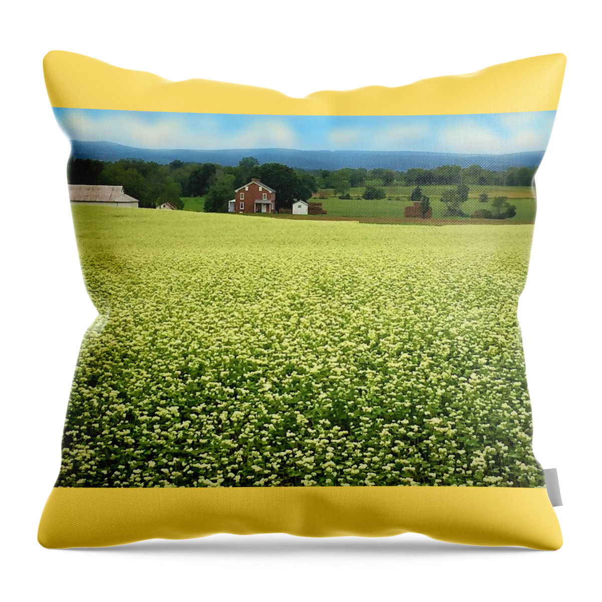 Farm Throw Pillow featuring the photograph Buckwheat in Bloom in Pennsylvania by Angela Davies