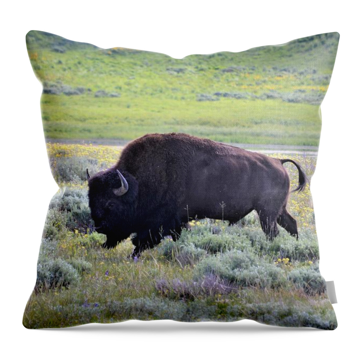 Western Art Throw Pillow featuring the photograph Buffalo in Spring by Alden White Ballard