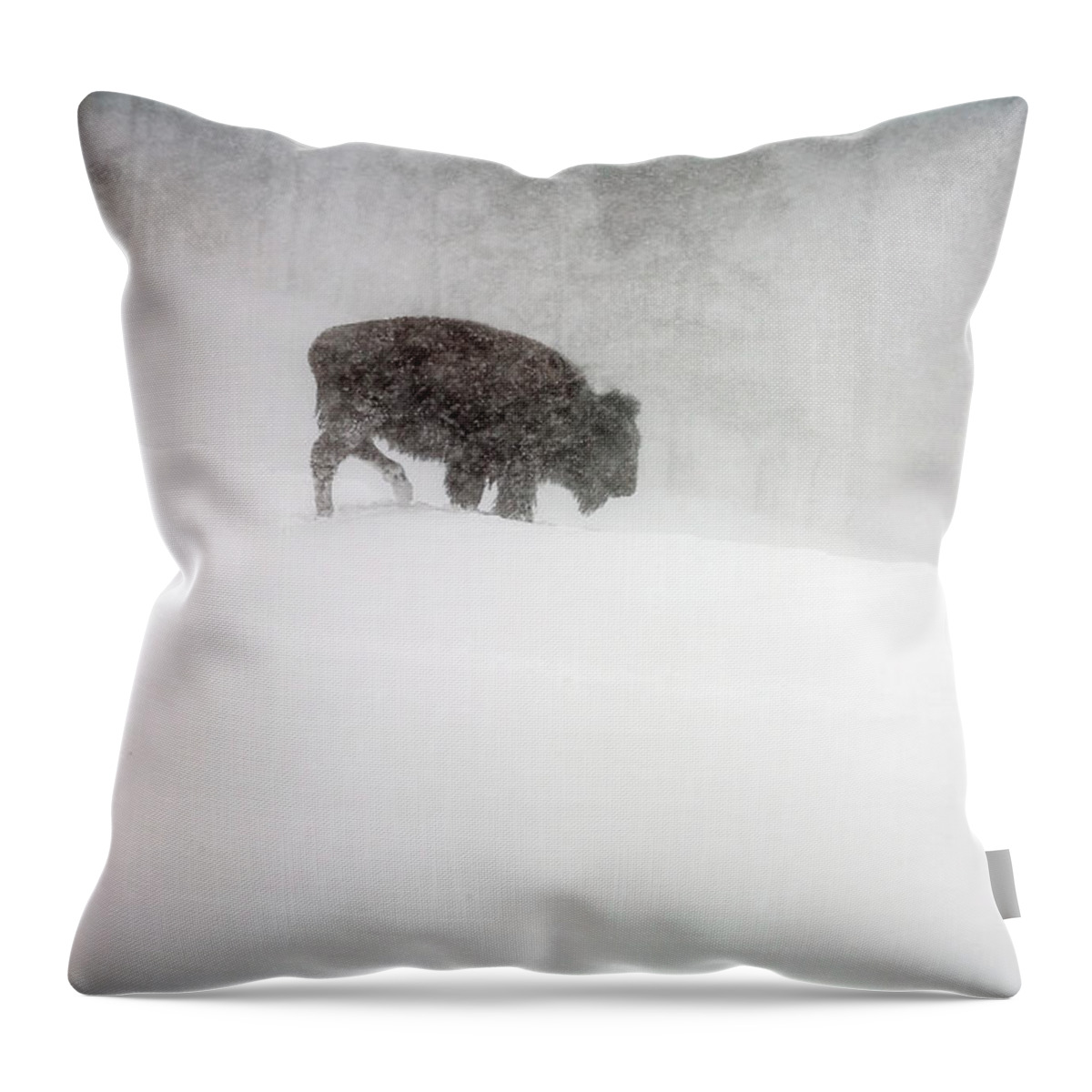 Winter Throw Pillow featuring the photograph Buffalo in Winter Storm by Craig J Satterlee