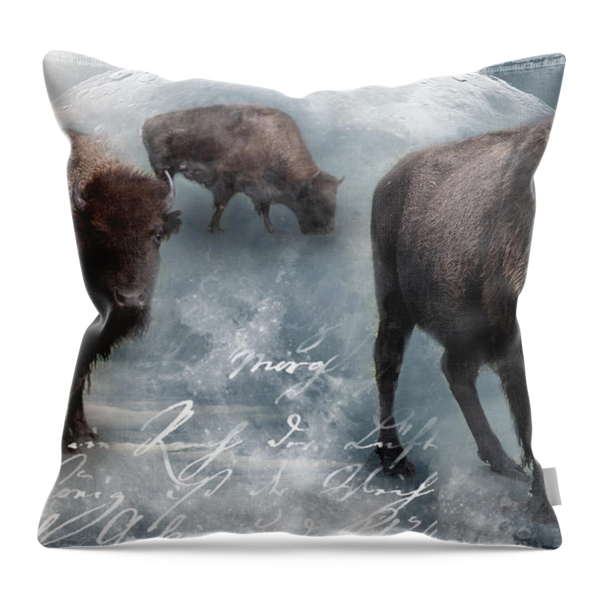 Background Throw Pillow featuring the photograph Buffalo White Moon by Evie Carrier