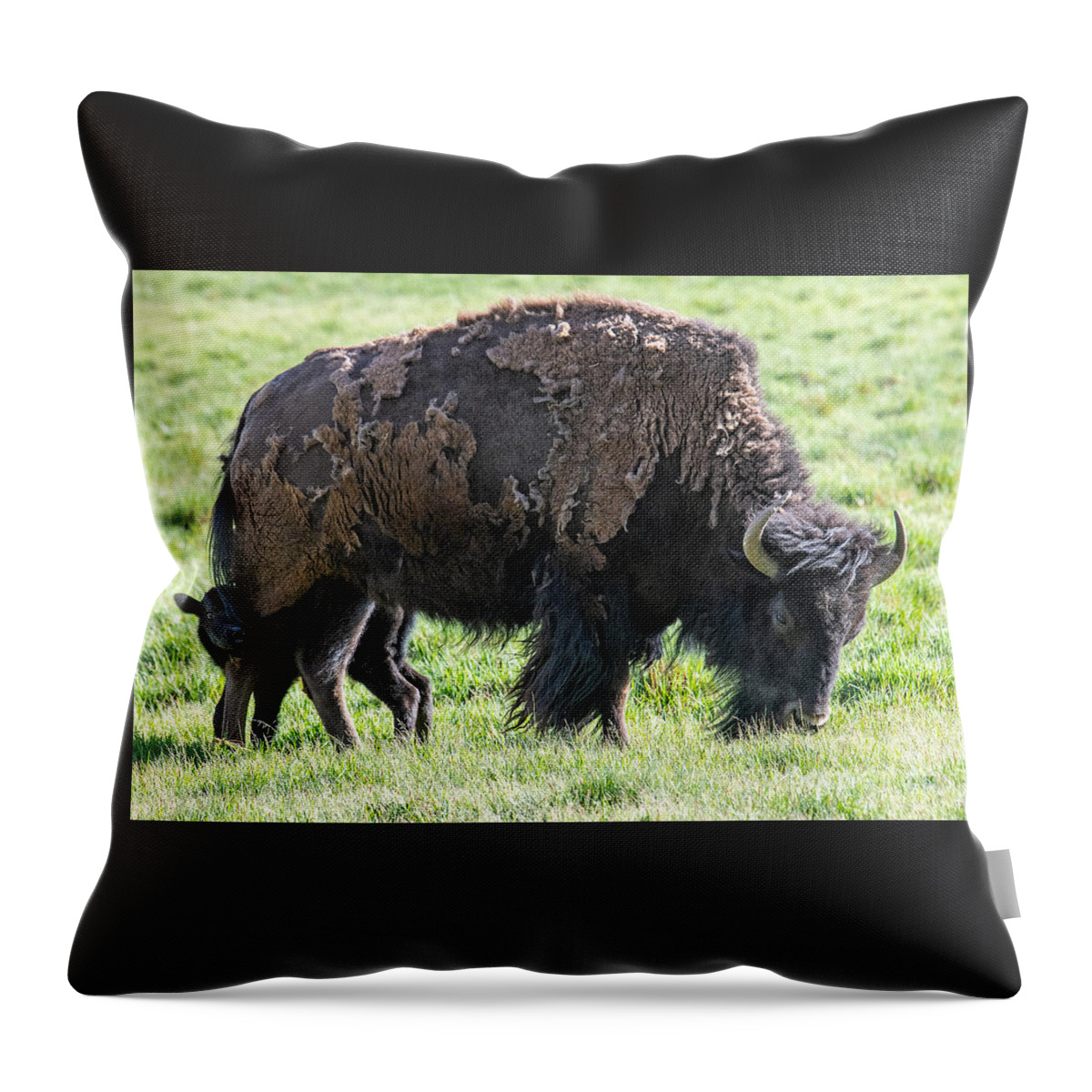 Buffalo With Baby Beefalo Throw Pillow featuring the digital art Buffalo with baby beefalo by Tammy Keyes