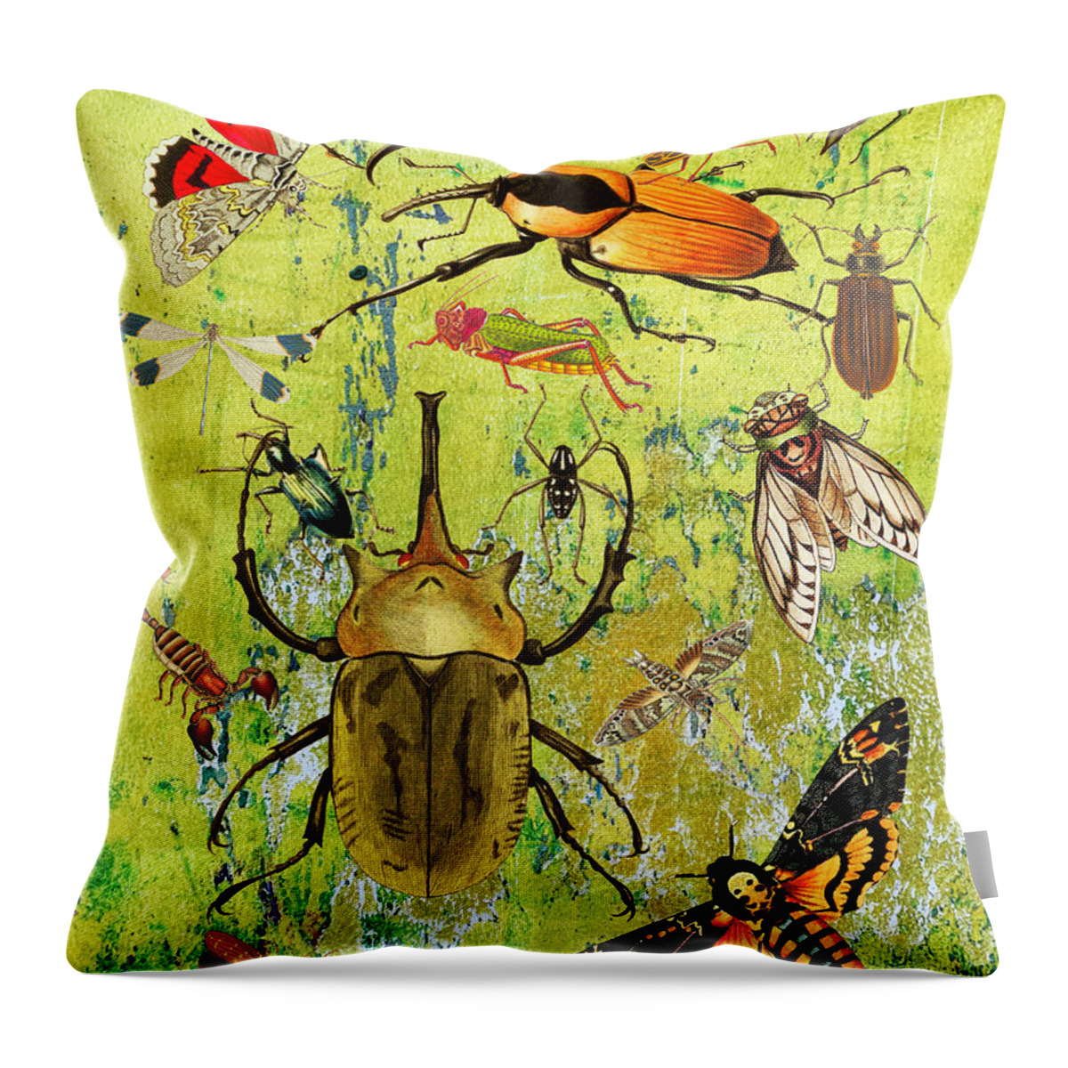 Beetles Throw Pillow featuring the mixed media Bug Fiesta by Lorena Cassady