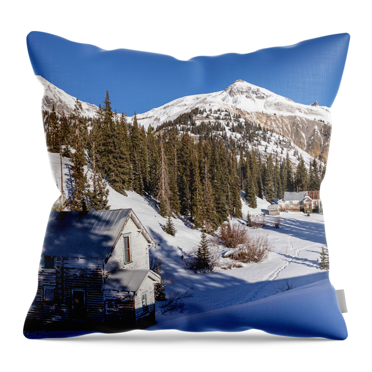 Building Throw Pillow featuring the photograph Buildings of the Idarado Mine by Craig A Walker