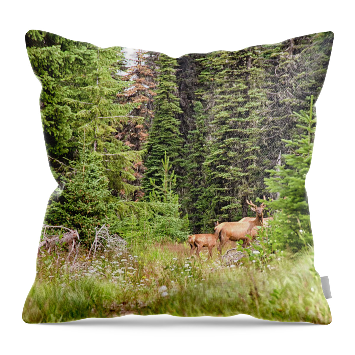Elk Throw Pillow featuring the photograph Bull elk in velvet by Debra Baldwin