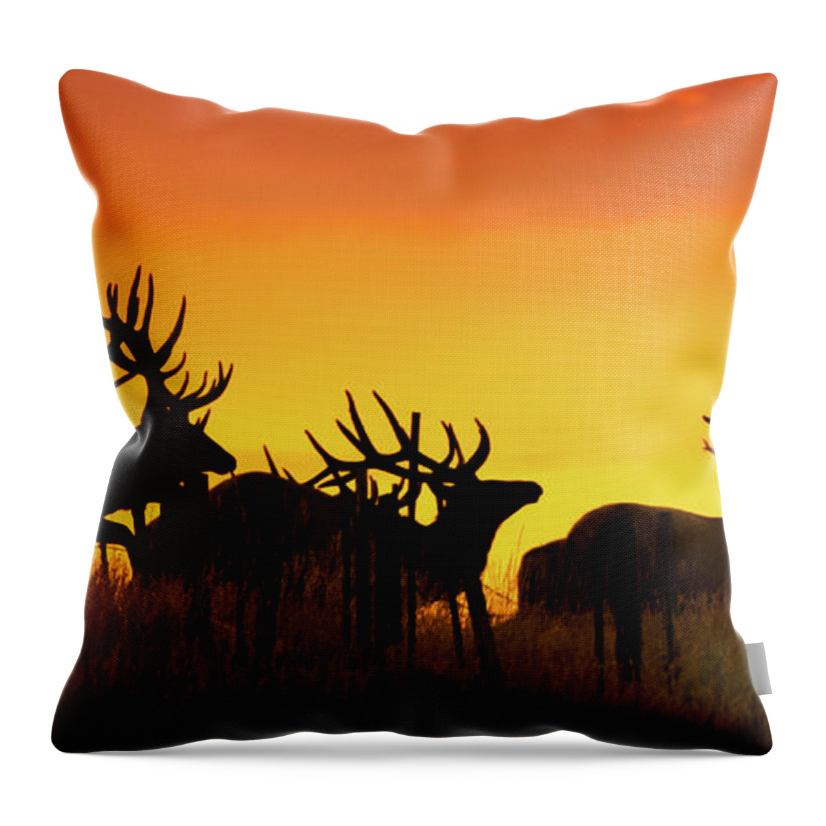 Elk Throw Pillow featuring the photograph Bull Elk Jumping Fence At Sunrise by Gary Beeler