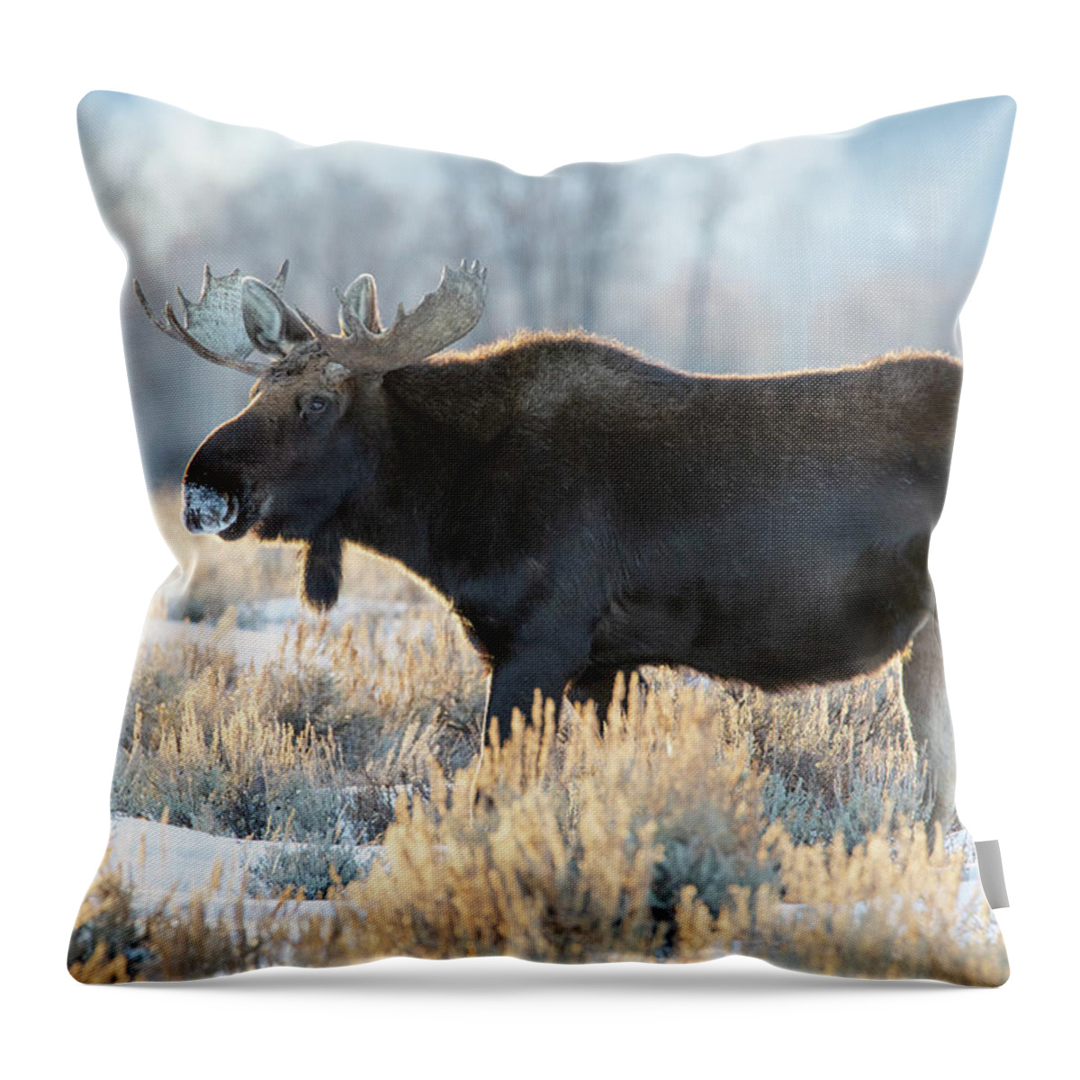 Moose Throw Pillow featuring the photograph Bull Moose by Bret Barton