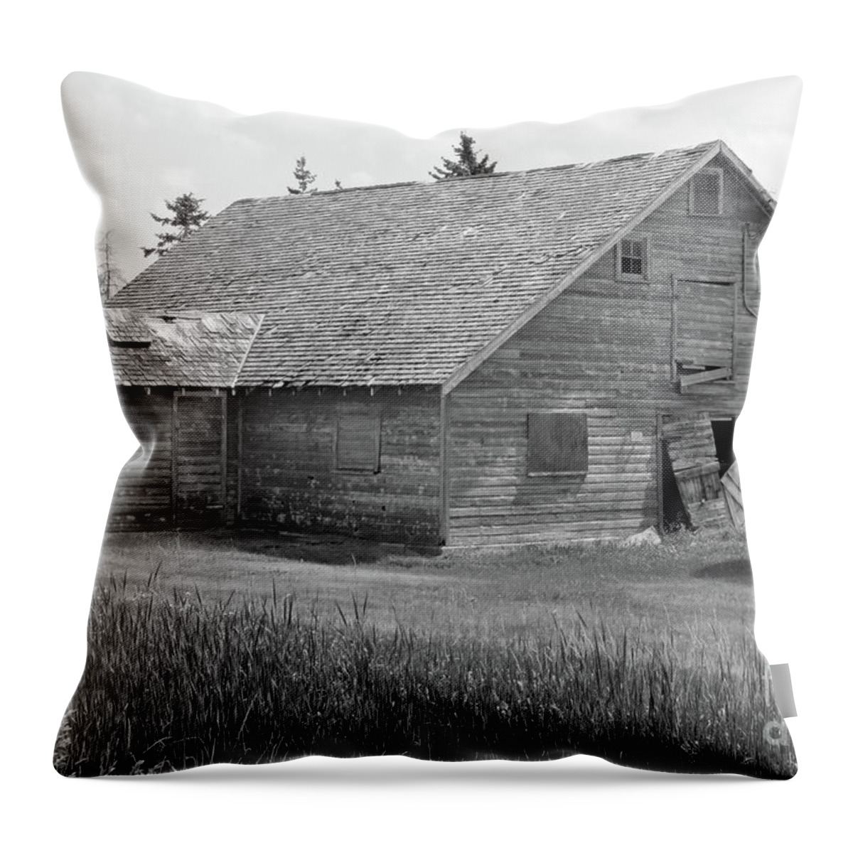 Black Throw Pillow featuring the photograph Bull Sales by Mary Mikawoz