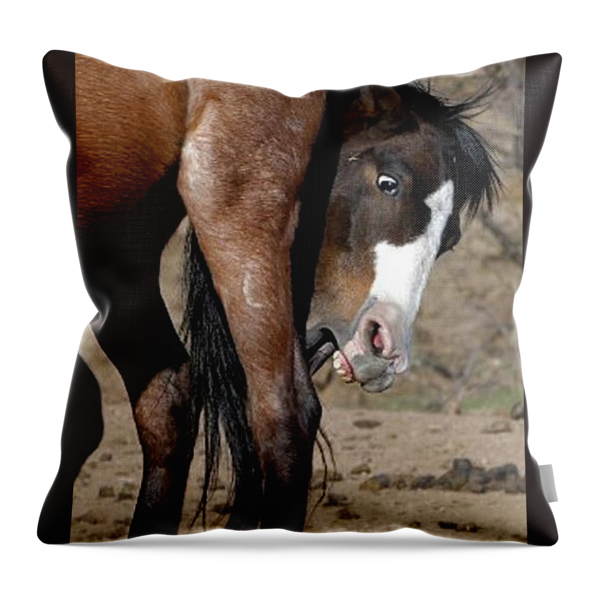 Salt River Wild Horses Throw Pillow featuring the digital art Bully by Tammy Keyes