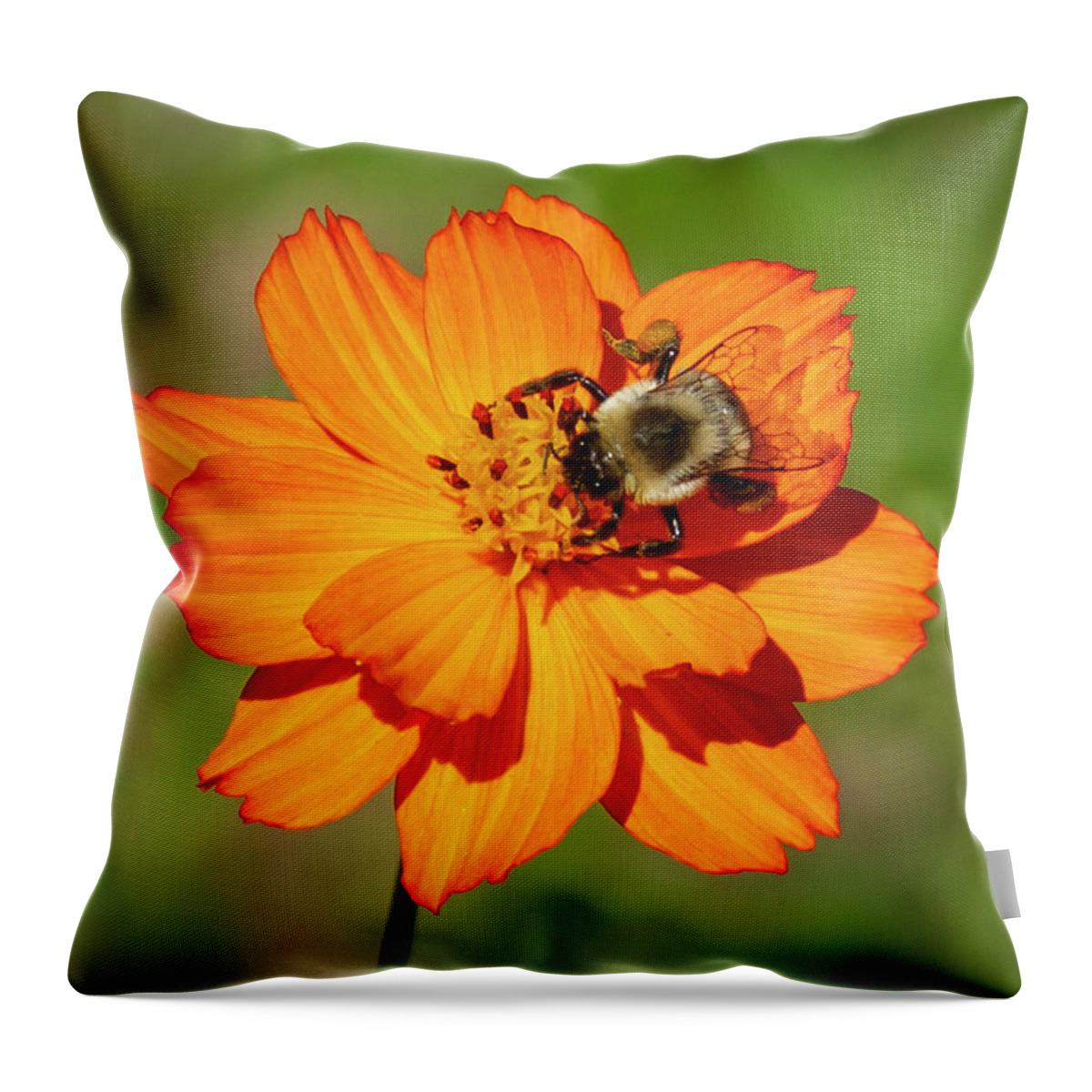 Reid Callaway Flowers And Friends Throw Pillow featuring the photograph Bumble Bee Concentration Flower Garden Wildlife Art by Reid Callaway