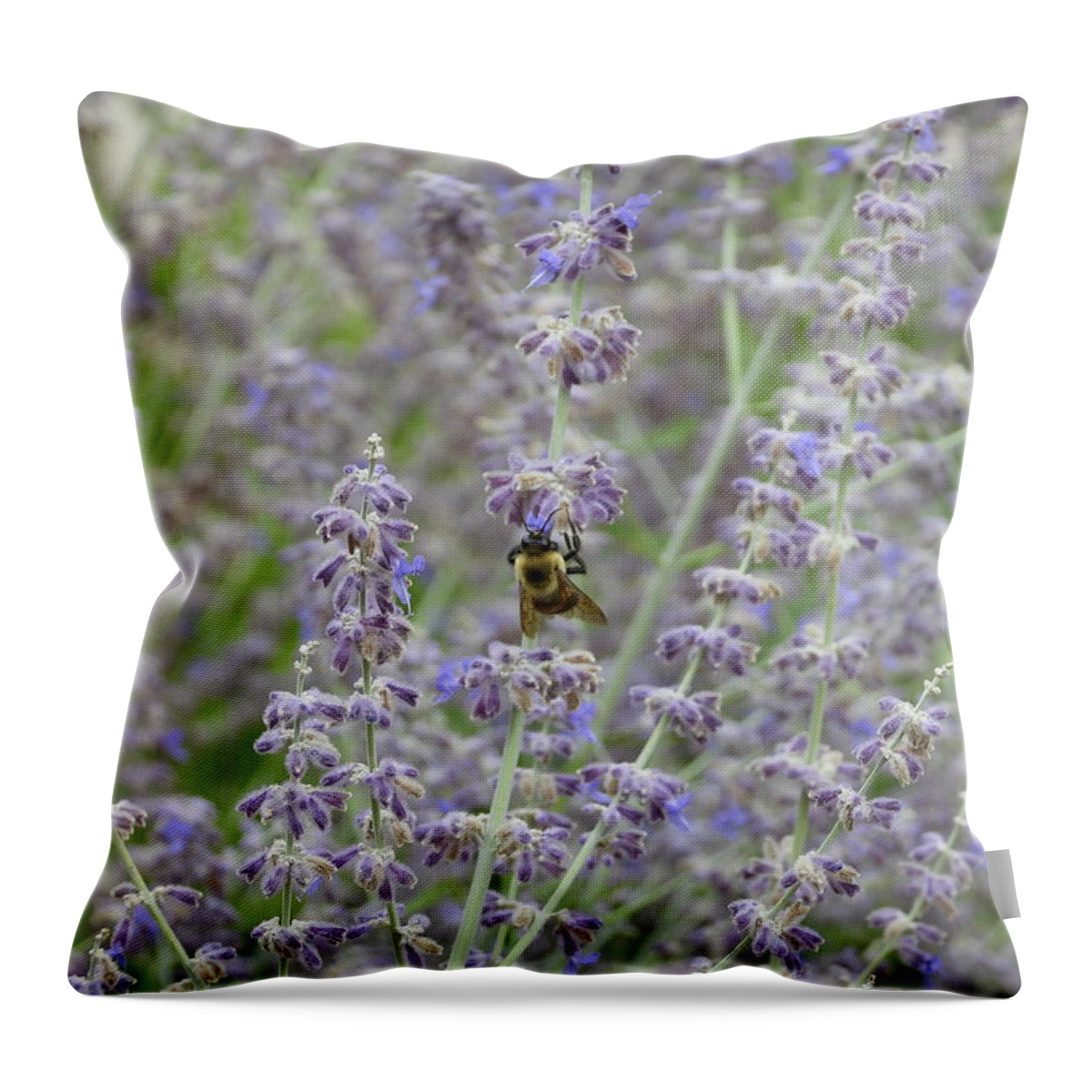 Bumble Bee Throw Pillow featuring the photograph Bumble Bee in the Lavender by Amanda R Wright