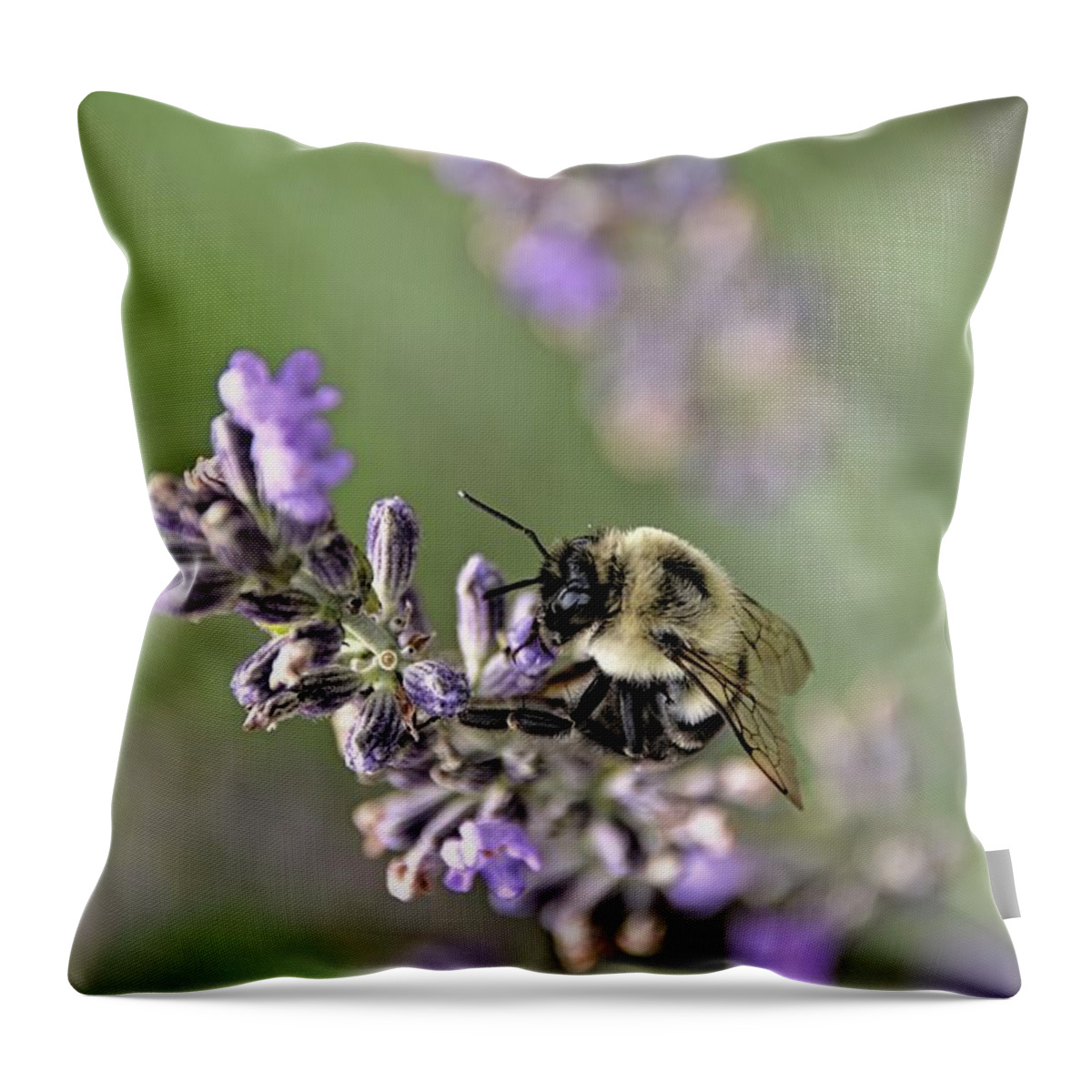 Bee Throw Pillow featuring the photograph Bumblebee On The Lavender Field 3 by Andrea Anderegg