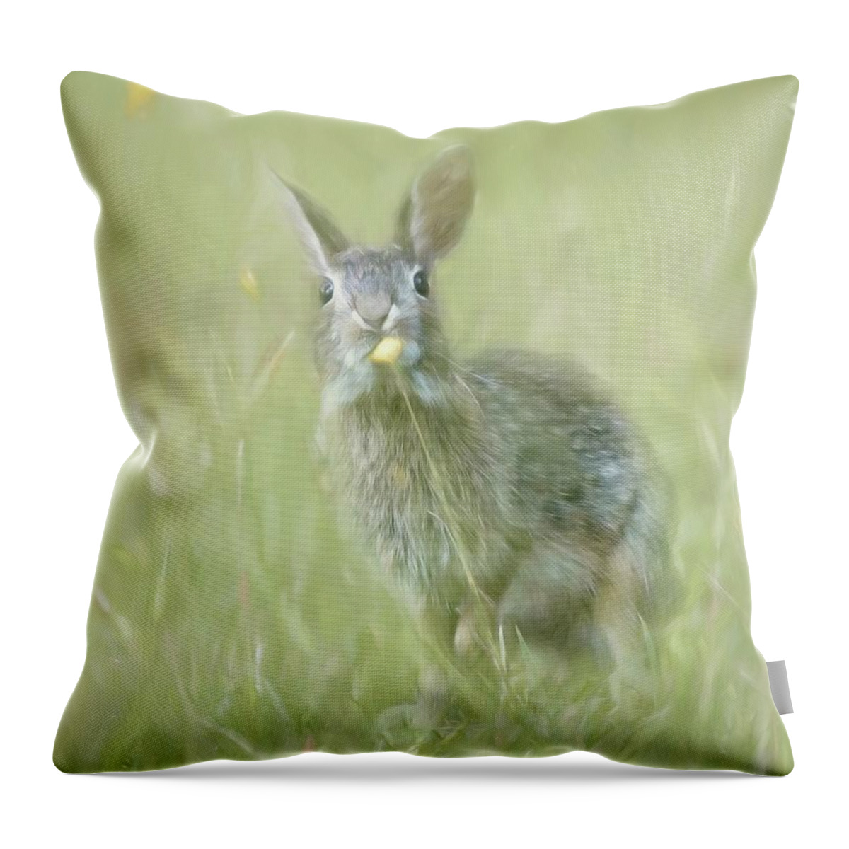 Bunny Throw Pillow featuring the photograph Bunny and Dandelion by Marjorie Whitley