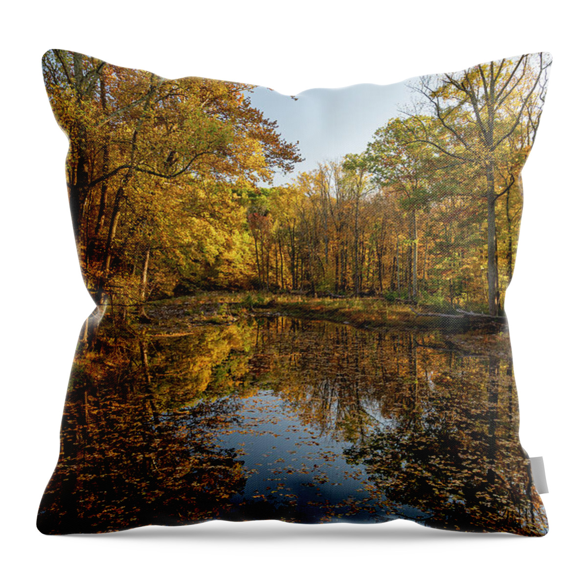 Stockton Throw Pillow featuring the photograph Burnt Colors by Kristopher Schoenleber