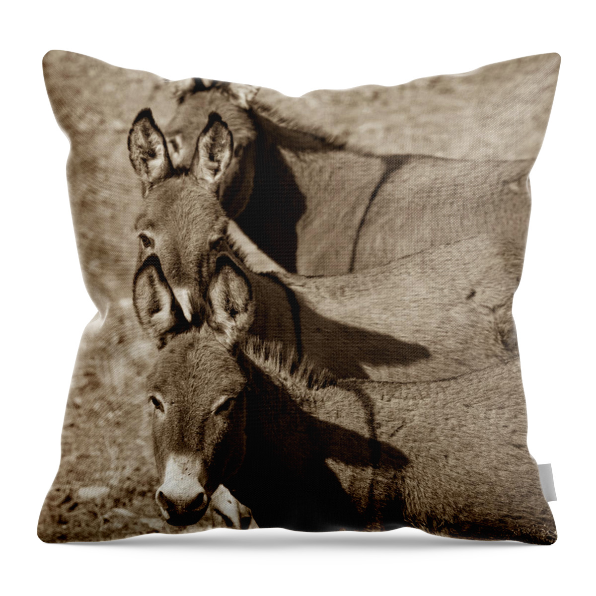 Burros Throw Pillow featuring the photograph Burro Stacks by Mary Hone