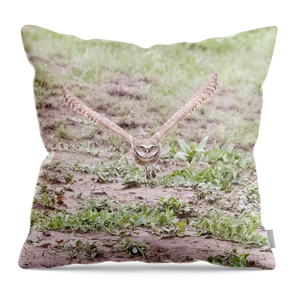 Owl Throw Pillow featuring the photograph Burrowing Owl Flies Head On by Tony Hake