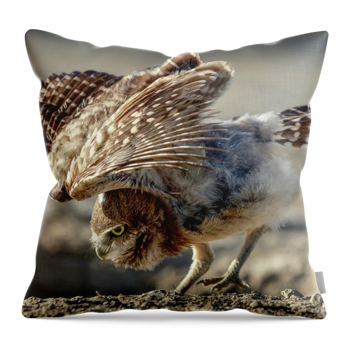 Burrowing Owlet Workout Throw Pillow featuring the photograph Burrowing Owlet Workout by Wes and Dotty Weber