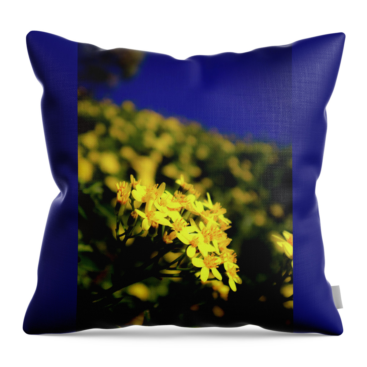Yellow Throw Pillow featuring the photograph Burst of Yellow by Andrea Whitaker