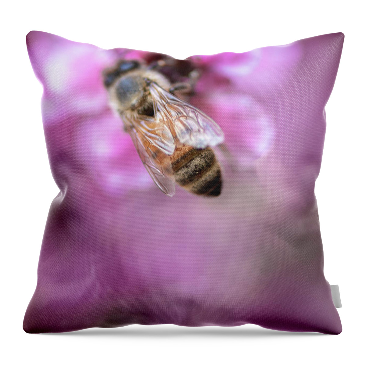 Bee Throw Pillow featuring the photograph Busy Bee by Laura Macky