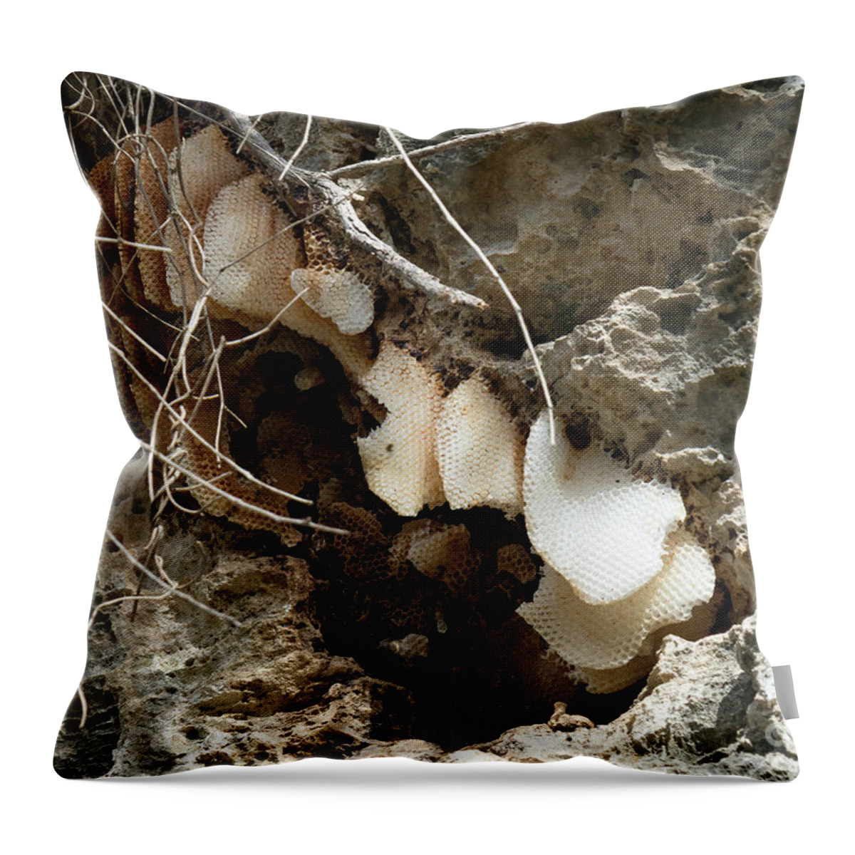 Bees Throw Pillow featuring the photograph Busy Bees by Elaine Teague