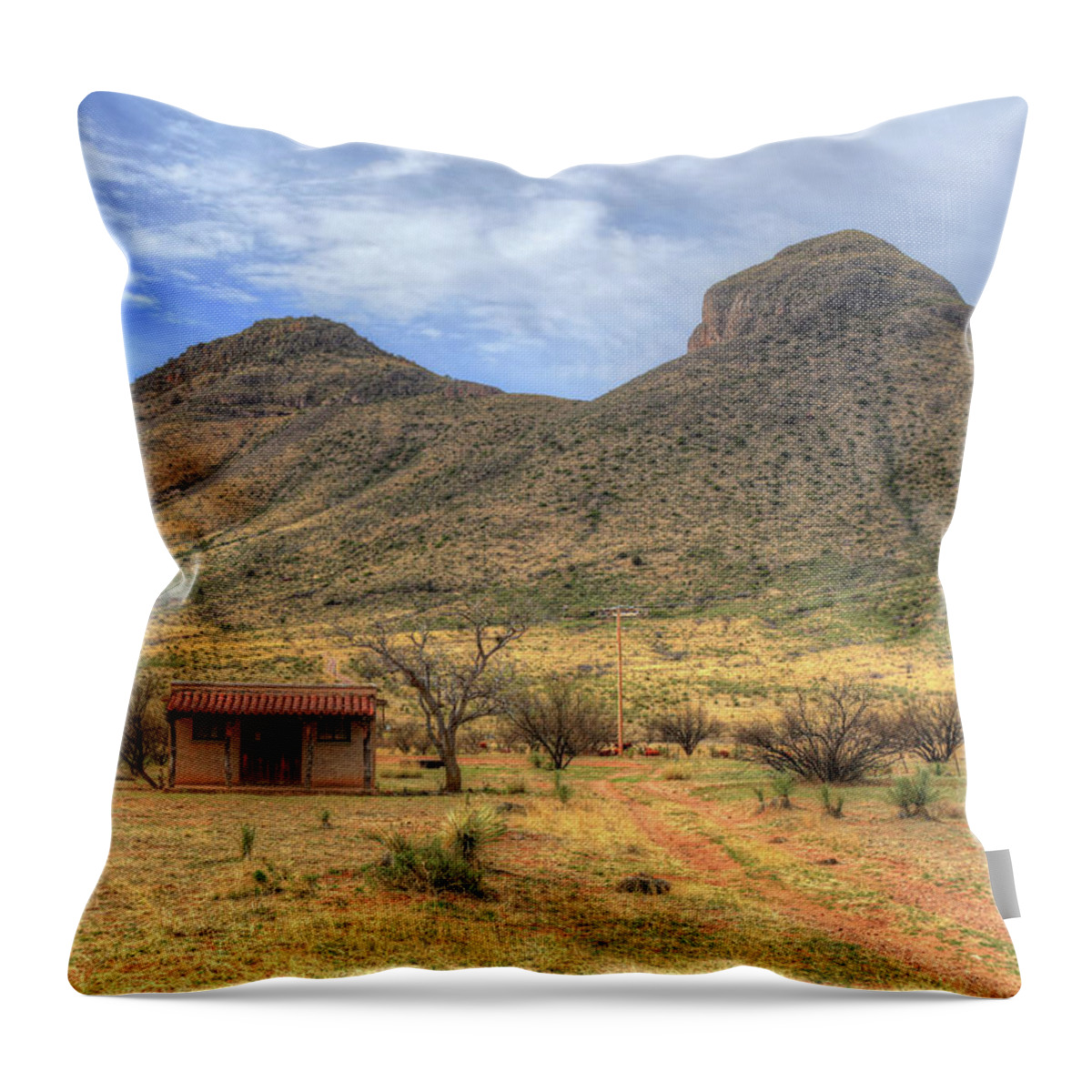 Fine Art Throw Pillow featuring the photograph Butterfield Stage Stop by Robert Harris
