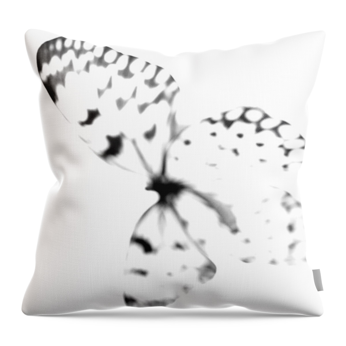 Butterfly Throw Pillow featuring the photograph Butterfly Blanc - Minimal Abstract Black And White by Marianna Mills