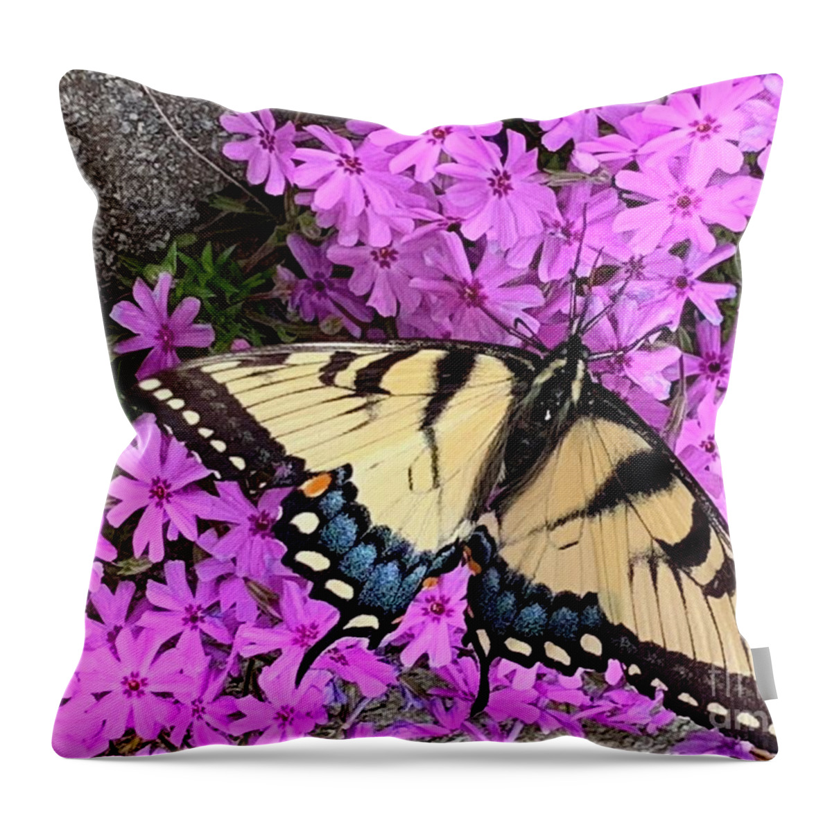 Butterfly Throw Pillow featuring the photograph Butterfly Blue by Catherine Wilson