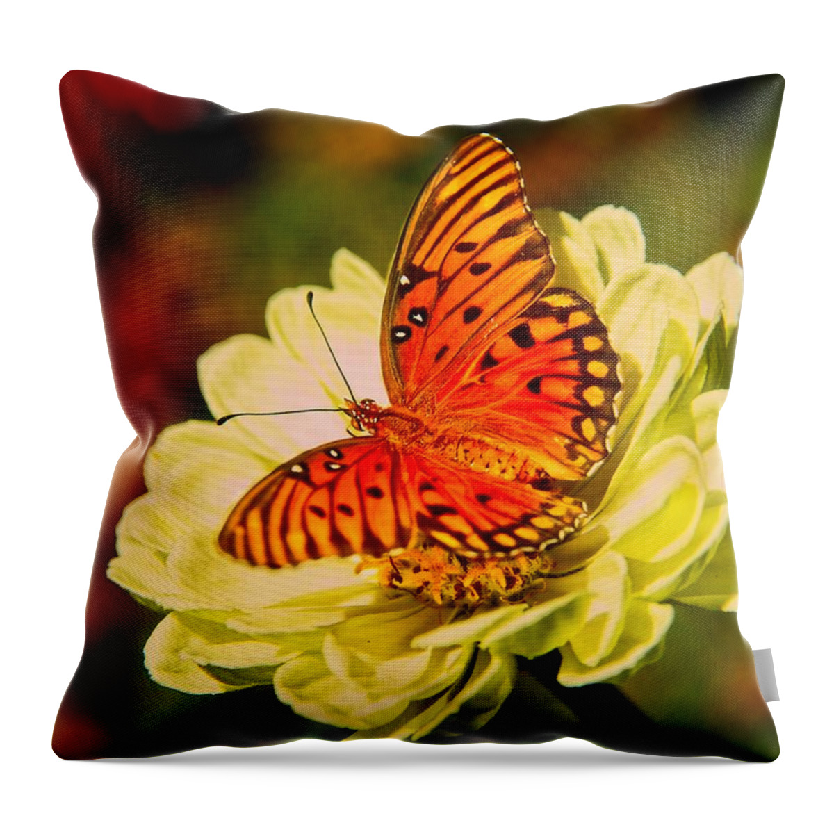Butterfly Throw Pillow featuring the photograph Butterfly Days by Allen Nice-Webb