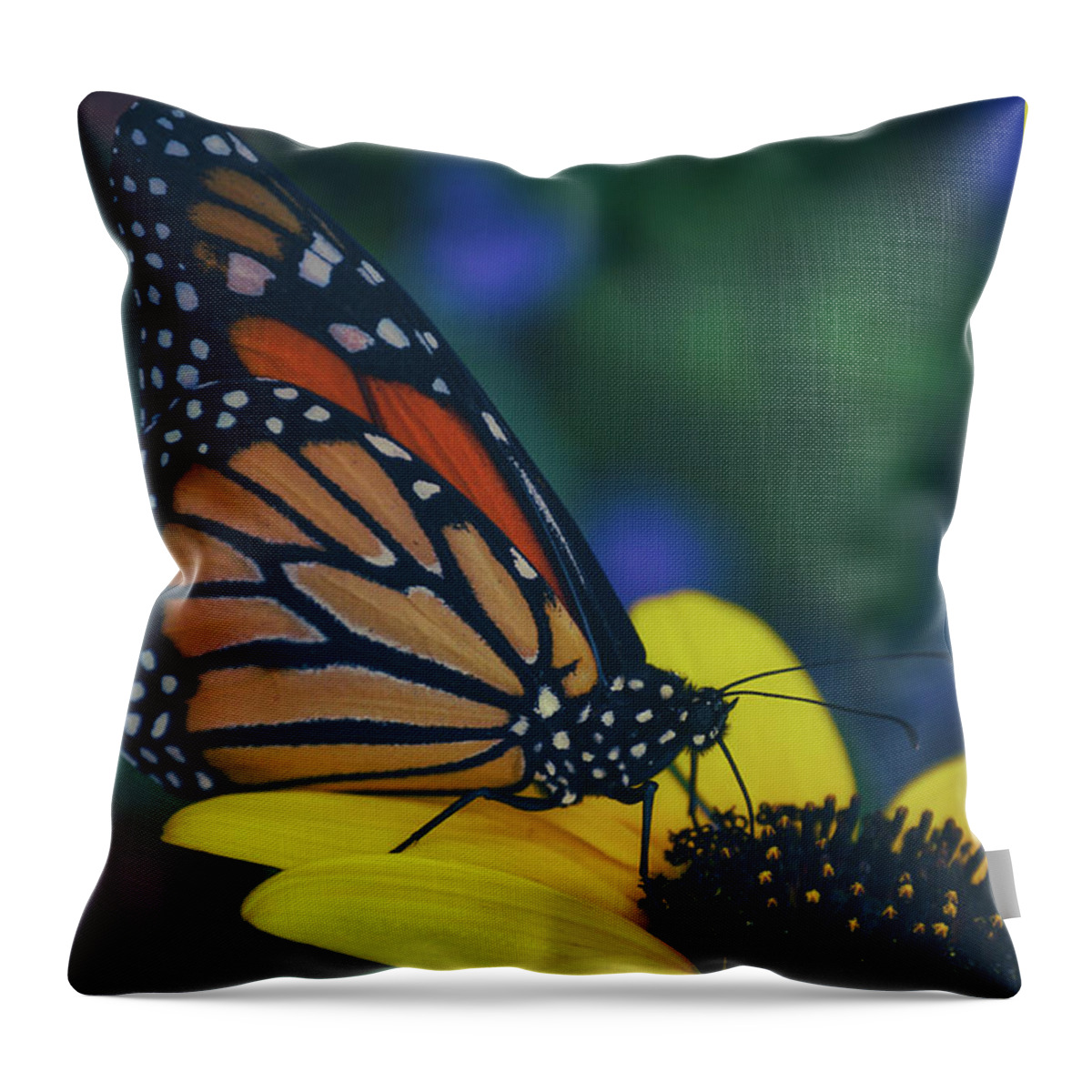 Mountain Throw Pillow featuring the photograph Butterfly Flower by Go and Flow Photos