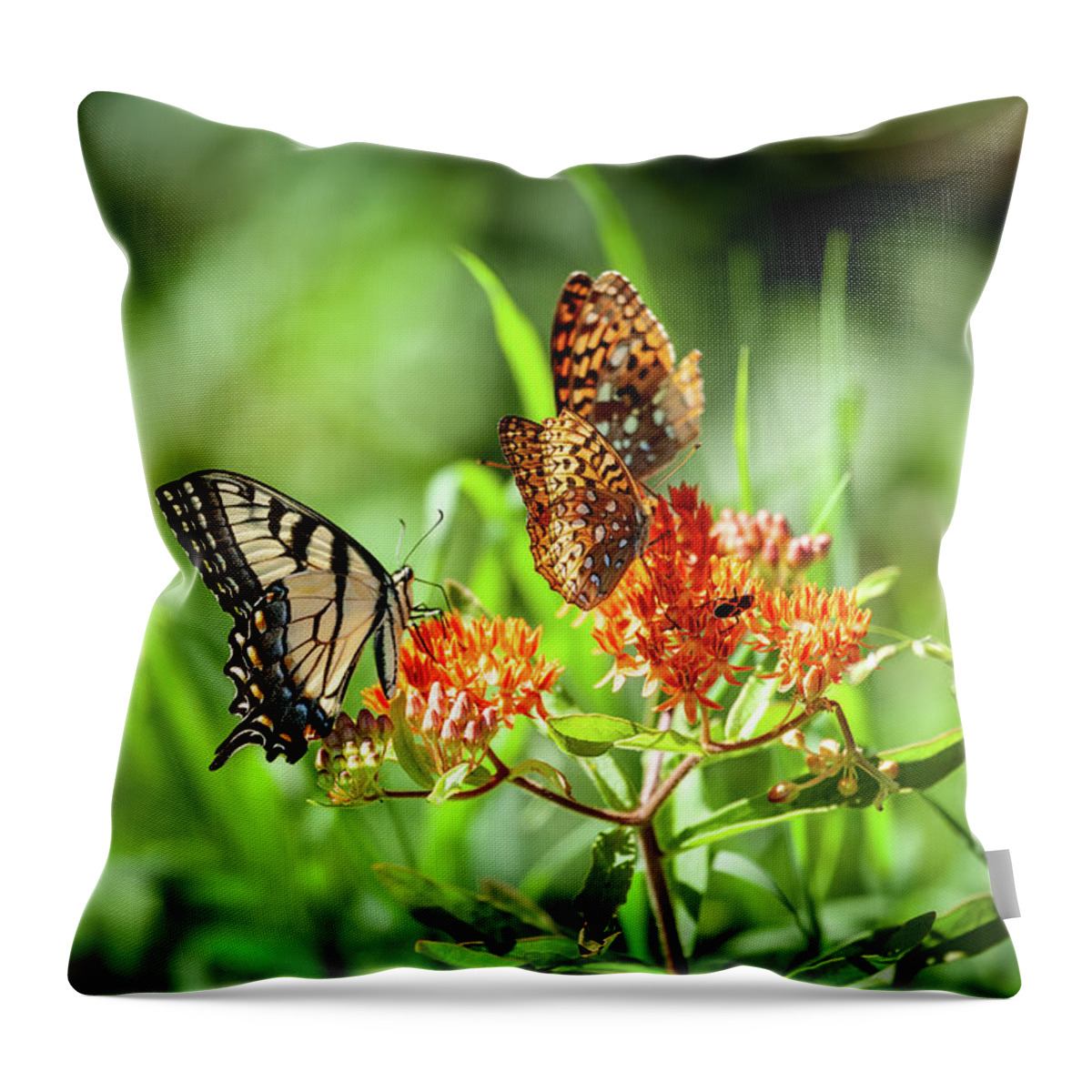 North Carolina Throw Pillow featuring the photograph Butterfly Harmony by Dan Carmichael
