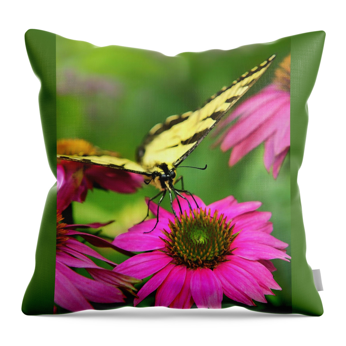 Butterflies Throw Pillow featuring the photograph Butterfly Savoring Pink Flowers by Christina Rollo