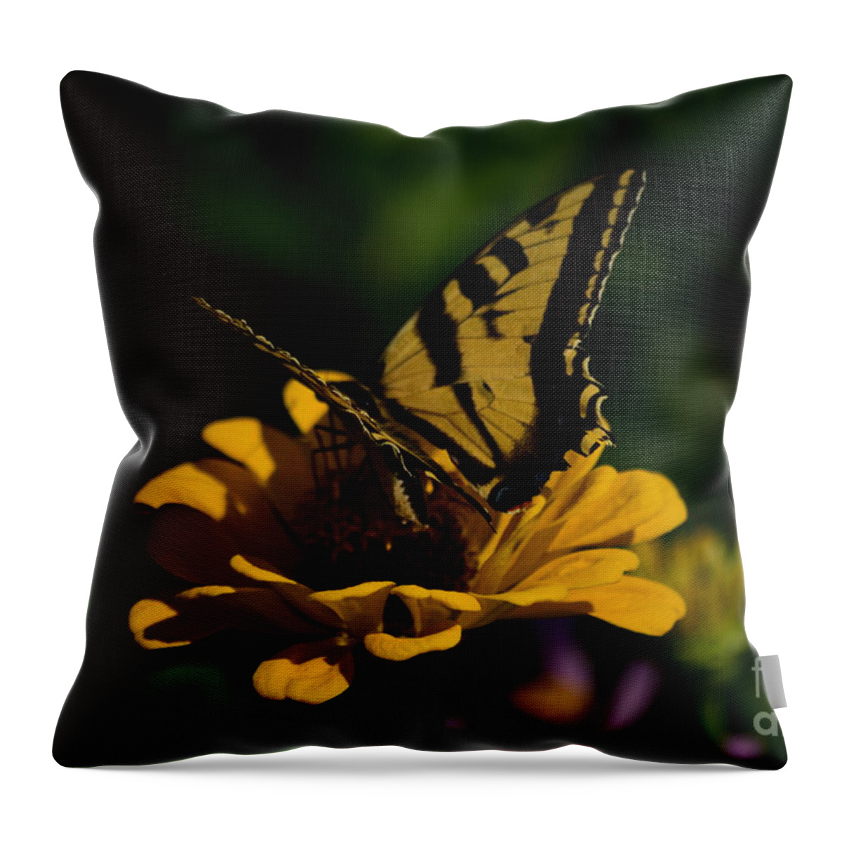 Butterfly Throw Pillow featuring the digital art Butterfly by Yenni Harrison