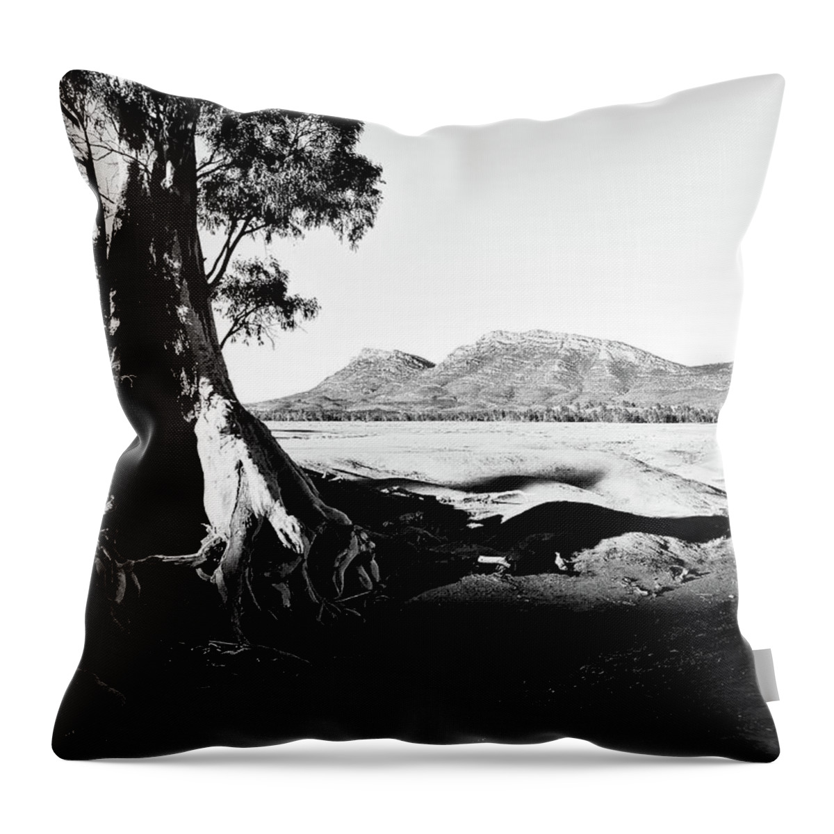 Cazneaux Tree Throw Pillow featuring the photograph Sunrise - Cazneaux Tree BW by Lexa Harpell