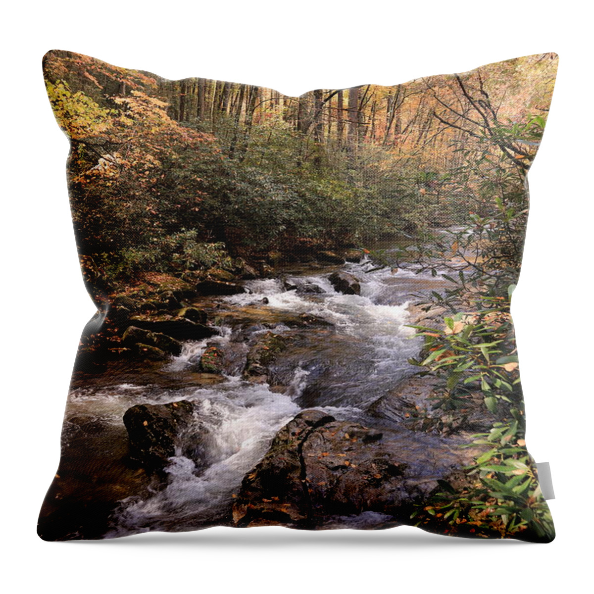 Water Throw Pillow featuring the photograph By the water's edge by Karen Ruhl
