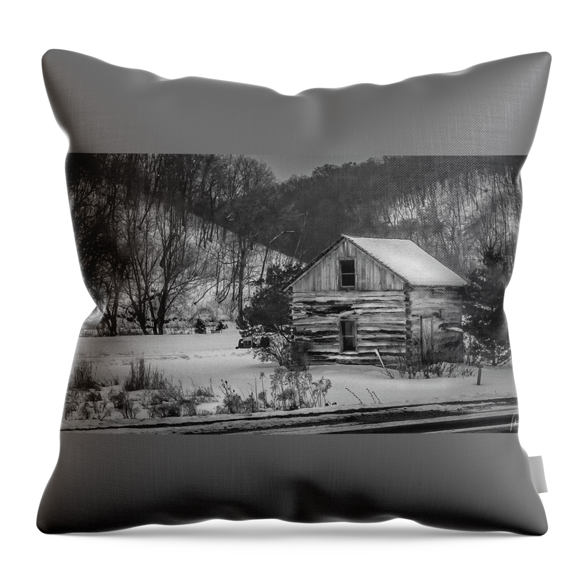 Home Throw Pillow featuring the photograph Cabin 3 by Phil S Addis
