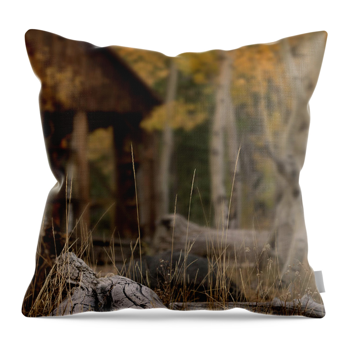 Aspen Throw Pillow featuring the photograph Cabin Series 1, Martis Creek cabin by Alessandra RC