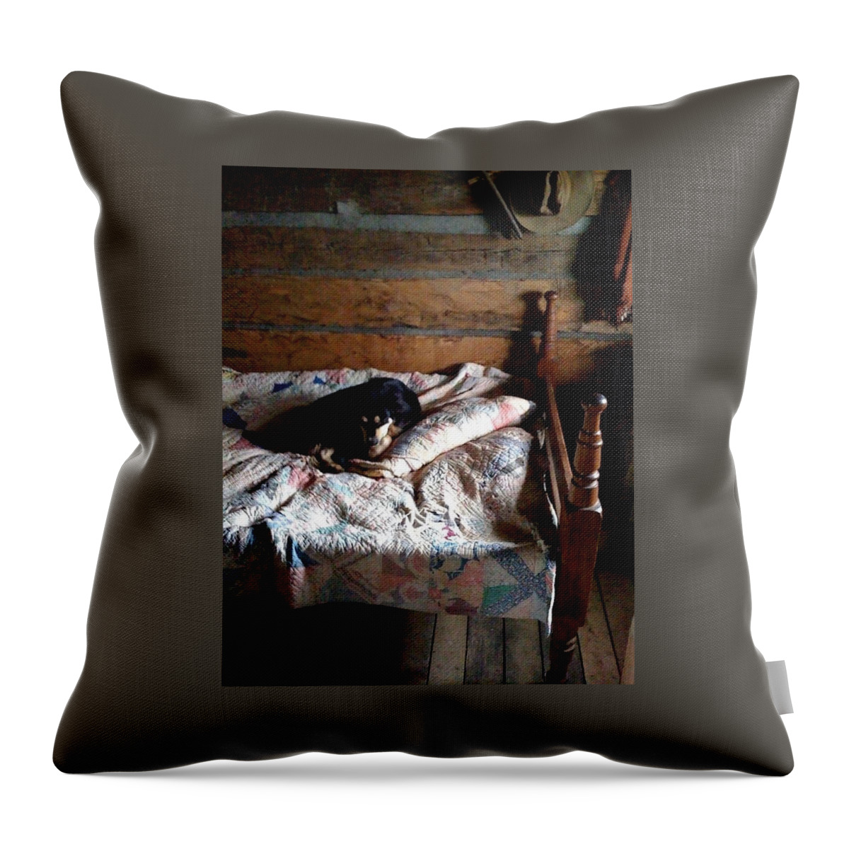 Cabin Throw Pillow featuring the photograph Cabin's Alarm System by Lee Darnell