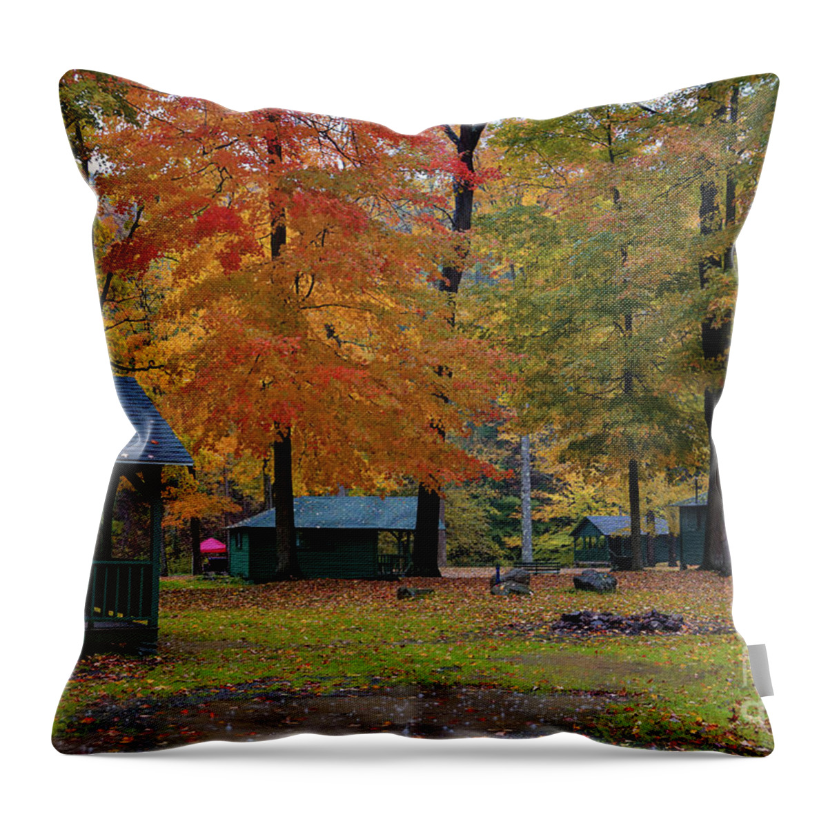 Cabins In The Rain Throw Pillow featuring the photograph Cabins in the Rain by Rachel Cohen