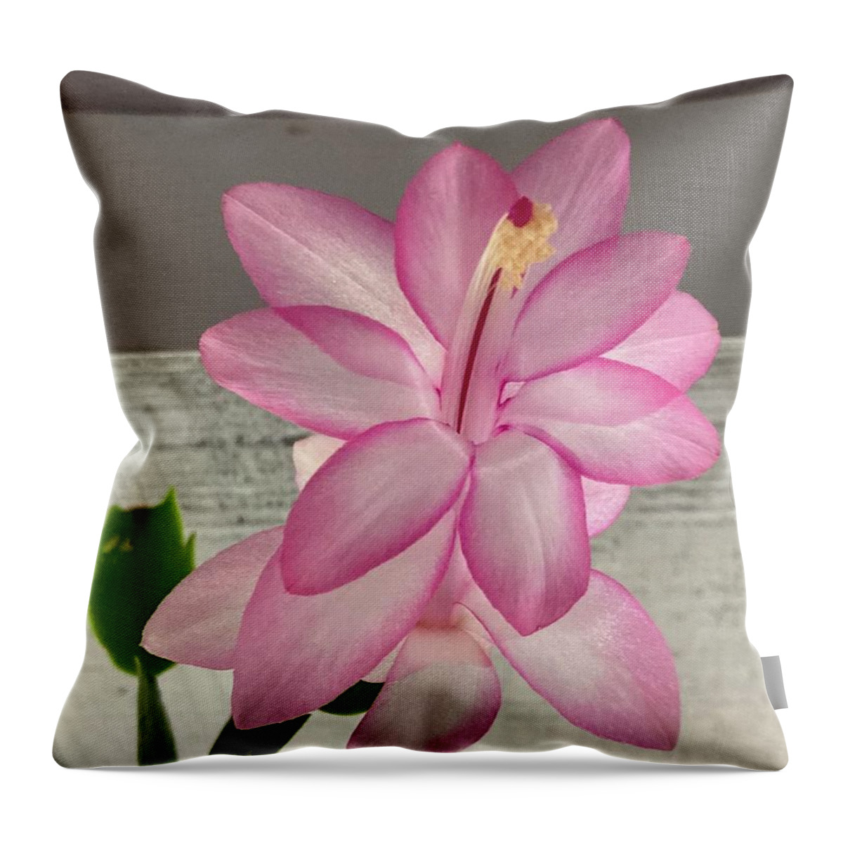 Flower Throw Pillow featuring the digital art Cactus charm by Bess Carter