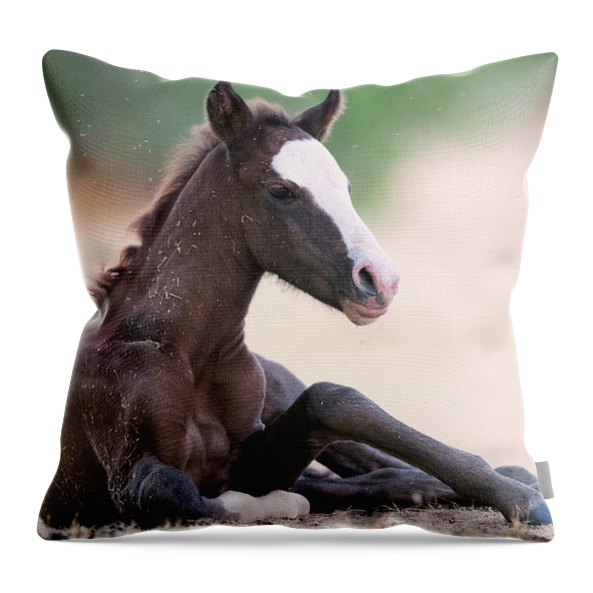 Cute Foal Throw Pillow featuring the photograph Cactus Fire by Shannon Hastings