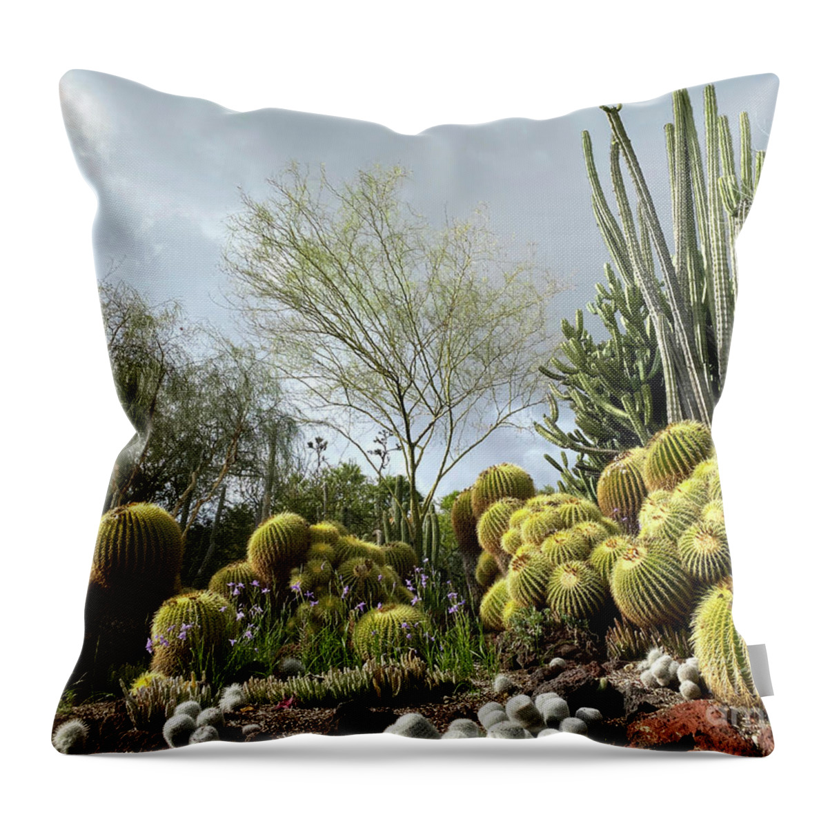 Clouds Throw Pillow featuring the photograph Cactus Garden with Cloudy Sky by Katherine Erickson