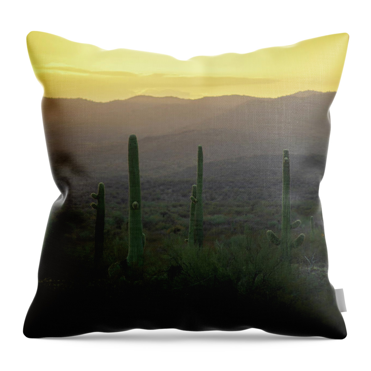 Landscape Throw Pillow featuring the photograph Cactus Huddle by Go and Flow Photos